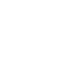 Digital Transformation Pega logo